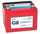 Teledyne Gill 7242-16