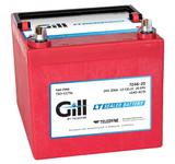 Teledyne Gill 7246-20