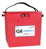 Teledyne Gill 7638-36