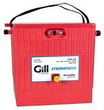 Teledyne Gill 7638-44T