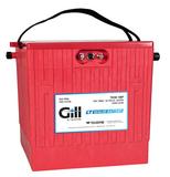 Teledyne Gill 7638-48P