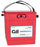 Teledyne Gill 7639-25