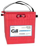 Teledyne Gill 7639-30LT