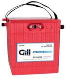 Teledyne Gill 7639-34