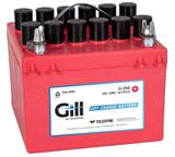 Teledyne Gill G-242