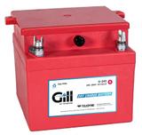 Teledyne Gill G-243