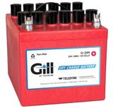 Teledyne Gill G-244