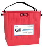 Teledyne Gill G-6381E
