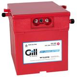 Teledyne Gill GE-51E