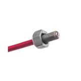 Bogert 21M-PL042-BRRTD