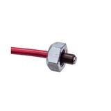 Bogert 21M-PL042-DBR