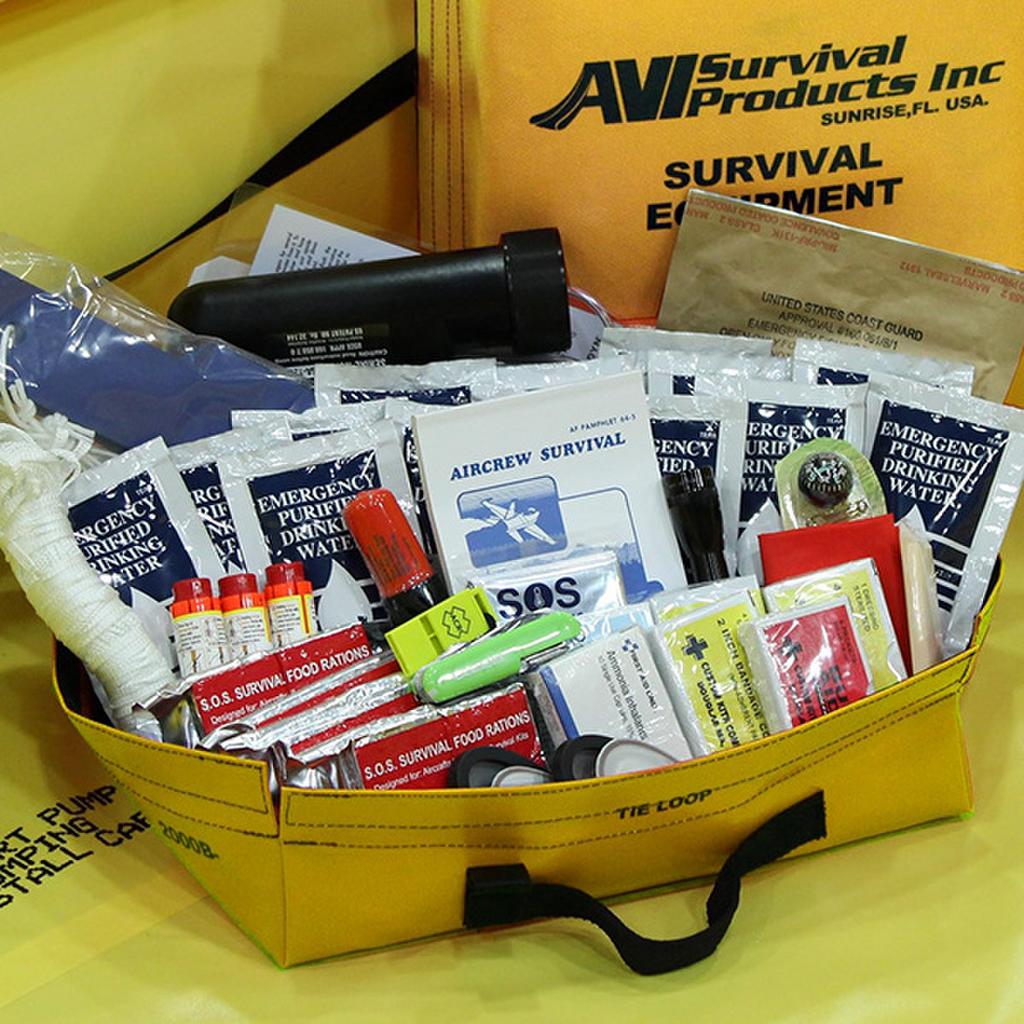 Shop AVI Survival Products RAF1108-305 – TSO 8 Person Life Raft with ...
