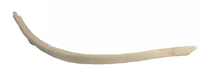 Columbus Jack 48A7880