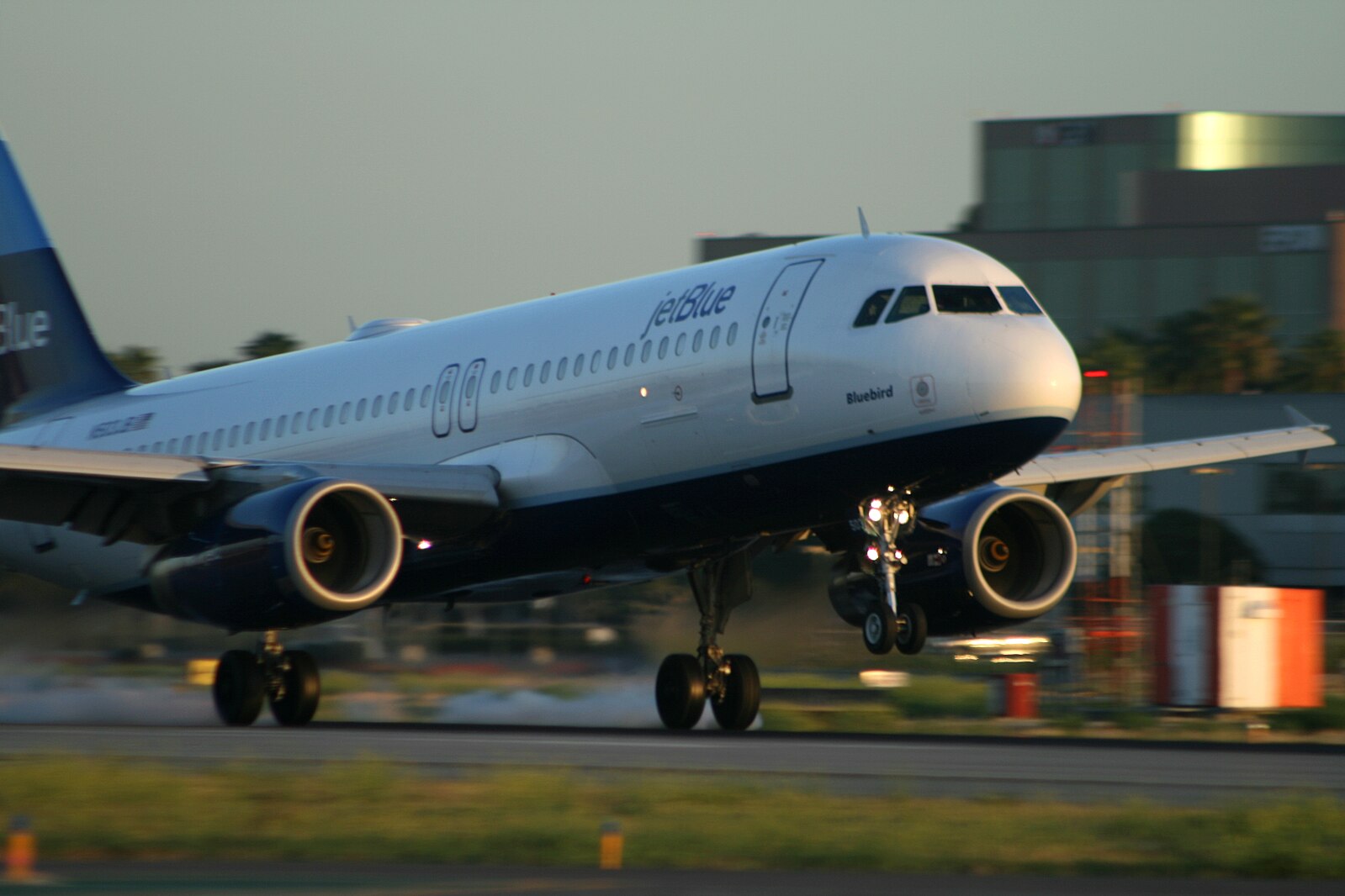 Jet Blue aircraft landing at airport with landing gear down